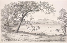 Parte occidental del lago Keilambete y el monte Noorat, un volcá Parte occidental del lago Keilambete y el monte Noorat, un volcá