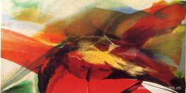 Día de los fenómenos de Zagorsk Día de los fenómenos de Zagorsk