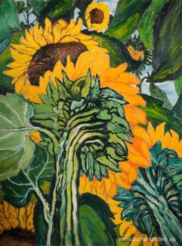 Girasoles Girasoles
