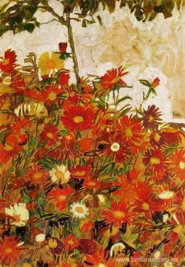 campo de flores campo de flores