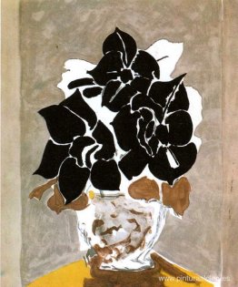 Amarilis Amarilis