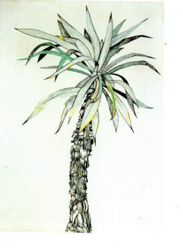 Palmera Palmera