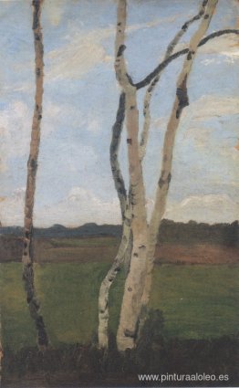 Paisaje con troncos de abedul. Paisaje con troncos de abedul.