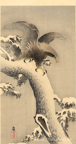 Águila bajo la nieve Águila bajo la nieve