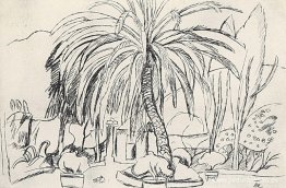 Paisaje español. Palmera. Paisaje español. Palmera.