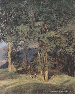 Arces cerca de Ischl Arces cerca de Ischl