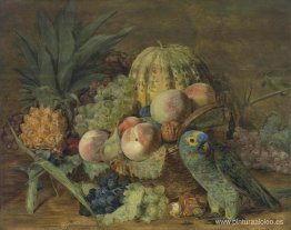 Bodegón de frutas con un loro amazónico Bodegón de frutas con un loro amazónico