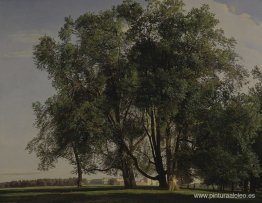 Paisaje Prater Paisaje Prater