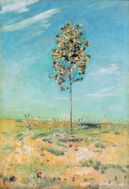 El pequeño plantano El pequeño plantano