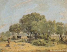 Olivos en España Olivos en España