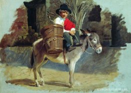 Un niño en un burro Un niño en un burro