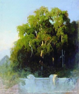 Bosque de abedules por la noche Bosque de abedules por la noche