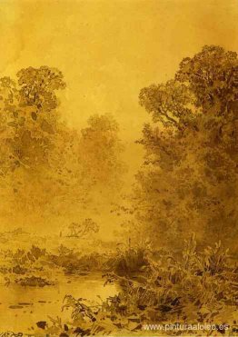 Pantano en un bosque. Neblina Pantano en un bosque. Neblina