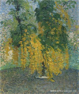 Una rama del jarrón Citisedans Una rama del jarrón Citisedans