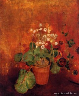 Flores en una maceta sobre un fondo rojo. Flores en una maceta sobre un fondo rojo.