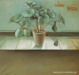 Planta Planta