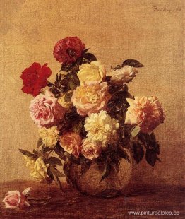rosas rosas