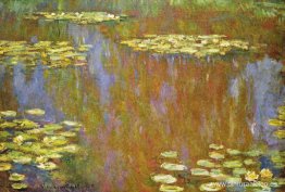 Nenúfares Nenúfares