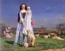 Bonitos corderos Baa Bonitos corderos Baa