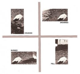 Causas de muerte Causas de muerte