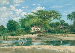 La ceiba de Ponce La ceiba de Ponce
