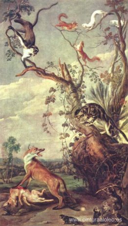 zorro y gato zorro y gato