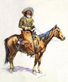 vaquero de arizona vaquero de arizona