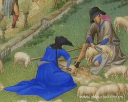 Esquila de ovejas Juillet Esquila de ovejas Juillet