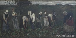 Trabajadores en el campo de remolacha Trabajadores en el campo de remolacha