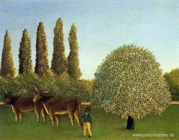 en los campos en los campos