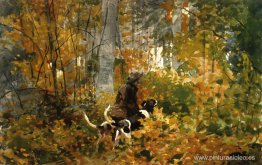 En el camino En el camino