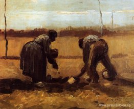 Hombre y mujer campesinos plantando patatas Hombre y mujer campesinos plantando patatas