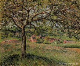 Manzano en Eragny Manzano en Eragny