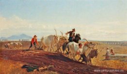 Arando en la Campaña Arando en la Campaña