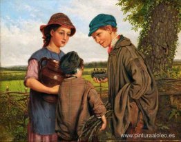 Anidación de pájaros Anidación de pájaros