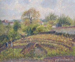 en el jardin en el jardin