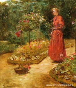 Mujer cortando rosas en un jardín. Mujer cortando rosas en un jardín.