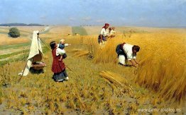 Recolección de cosechas en Ucrania Recolección de cosechas en Ucrania