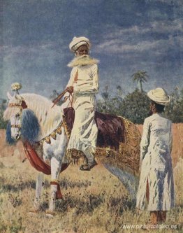 El jinete en Jaipur El jinete en Jaipur