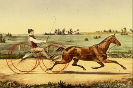 Templo de la Flora Templo de la Flora