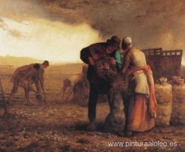 Cosecha de patatas Cosecha de patatas