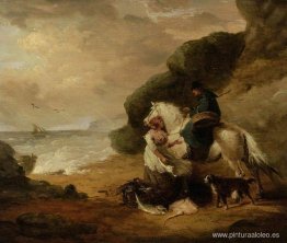 comprar pescado comprar pescado