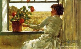 Noche de verano Noche de verano