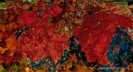 Torbellino Torbellino