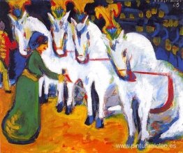 Acto de adiestramiento del caballo blanco Acto de adiestramiento del caballo blanco