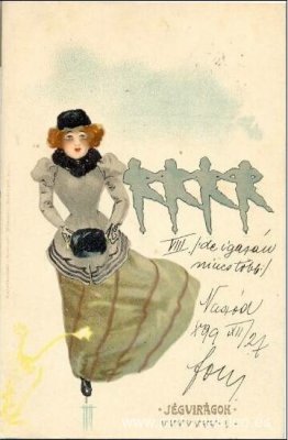 flores de hielo flores de hielo