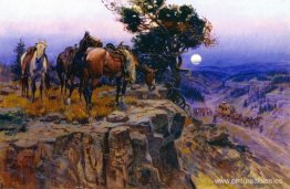 Aliados inocentes Aliados inocentes