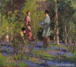 Recogiendo campanillas Recogiendo campanillas