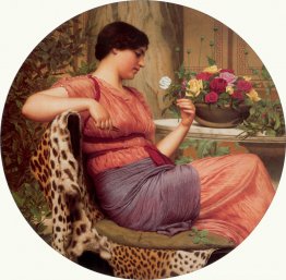 El tiempo de las rosas El tiempo de las rosas