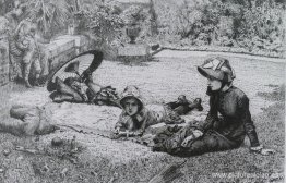 a pleno sol a pleno sol